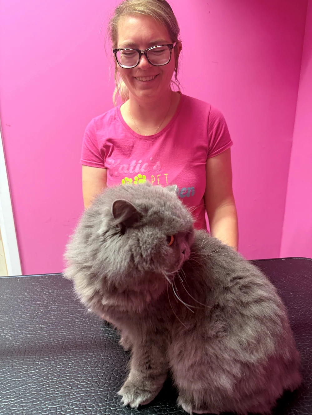 Long-haired cat brushing and coat maintenance